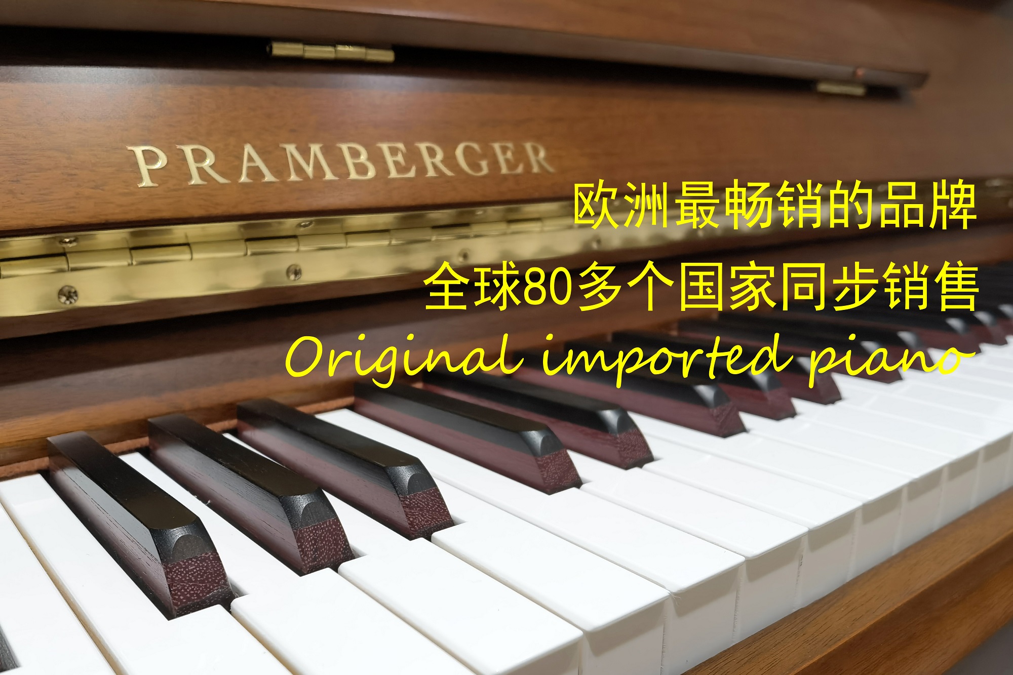 活动品牌图片4